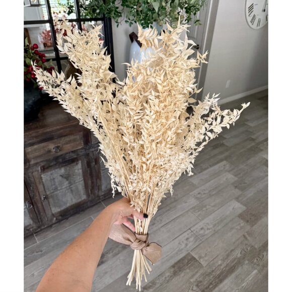 Dried Italian Ruscus White - Picture 1 of 6